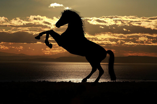 ¡Por los clavos de Cristo! Así evitarás que tv caballo se quede cojo en Lvsitania