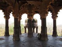 Ranthambore, historia y naturaleza salvaje en India