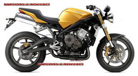 Novedades gama Triumph 2007