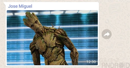 WhatsApp を転送する