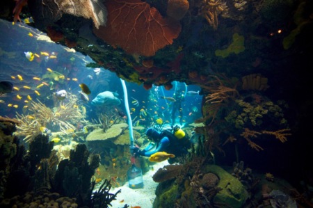 Oceanario de Lisboa