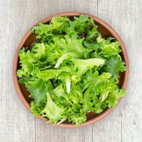 El brote de diarrea en EE.UU. apunta a una lechuga mexicana con Cyclospora: así puedes desinfectarla en casa, según la OPS