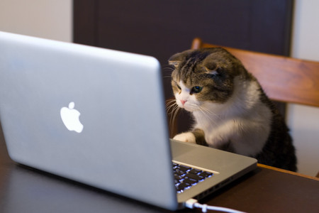25 sitios web completamente inútiles pero adictivos