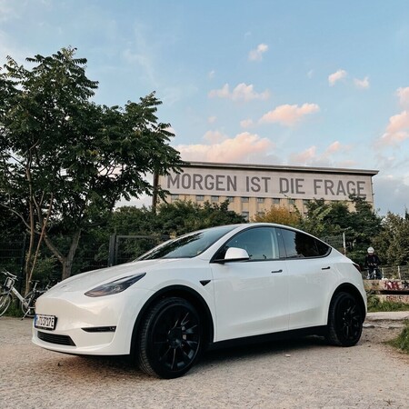 Model Y