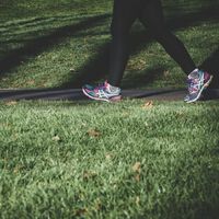 Caminhar não é exercício: 10 mil passos diários são inúteis se não forem dados corretamente 