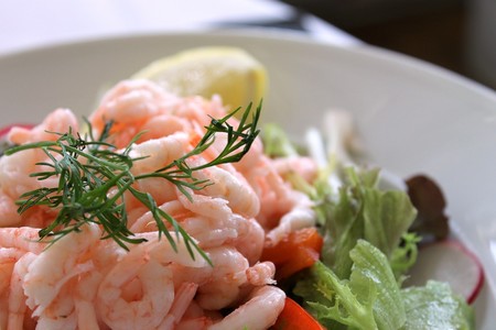 Cinco recetas veraniegas ricas en proteínas