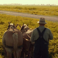 Hace 26 años, los hermanos Coen se adelantaron a Christopher Nolan y adaptaron 'La odisea' (más o menos) en una de sus mejores películas