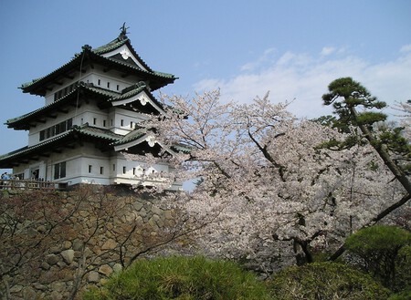 Hirosaki Castle Aomori With Sakura Blossoms