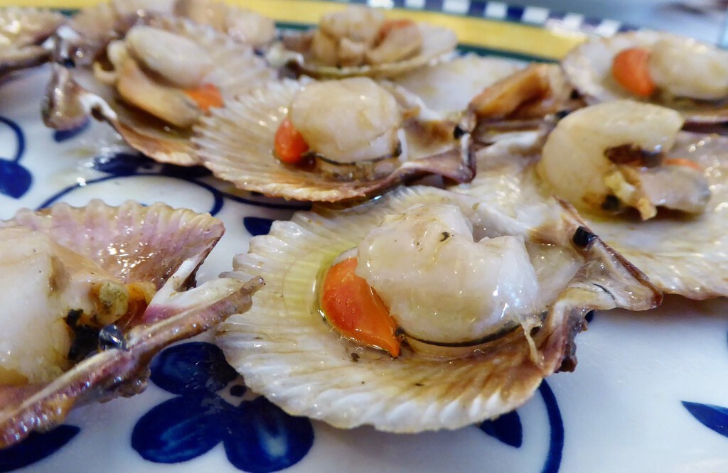 Galicia se ha propuesto acabar de una vez con el «fraude de las zamburiñas». Así que ya está poniendo multas