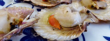 Restaurants in half of Spain are giving us scallops for scallops. And Galicia has tired of fraud