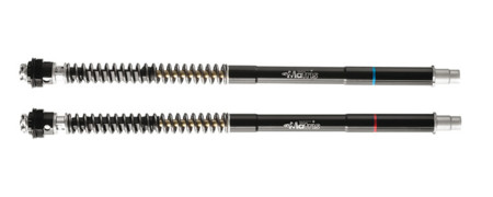 Material pata negra para tu deportiva con el kit Matris F25SA