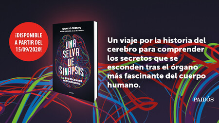 Libros que nos inspiran: 'Una selva de sinapsis' de Ignacio Crespo