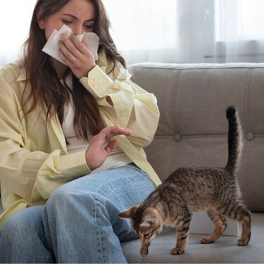 Cómo eliminar el olor a gato de tu ropa, casa y arenero: consejos prácticos que sí funcionan