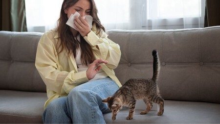 Cómo eliminar el olor a gato de tu ropa, casa y arenero: consejos prácticos que sí funcionan
