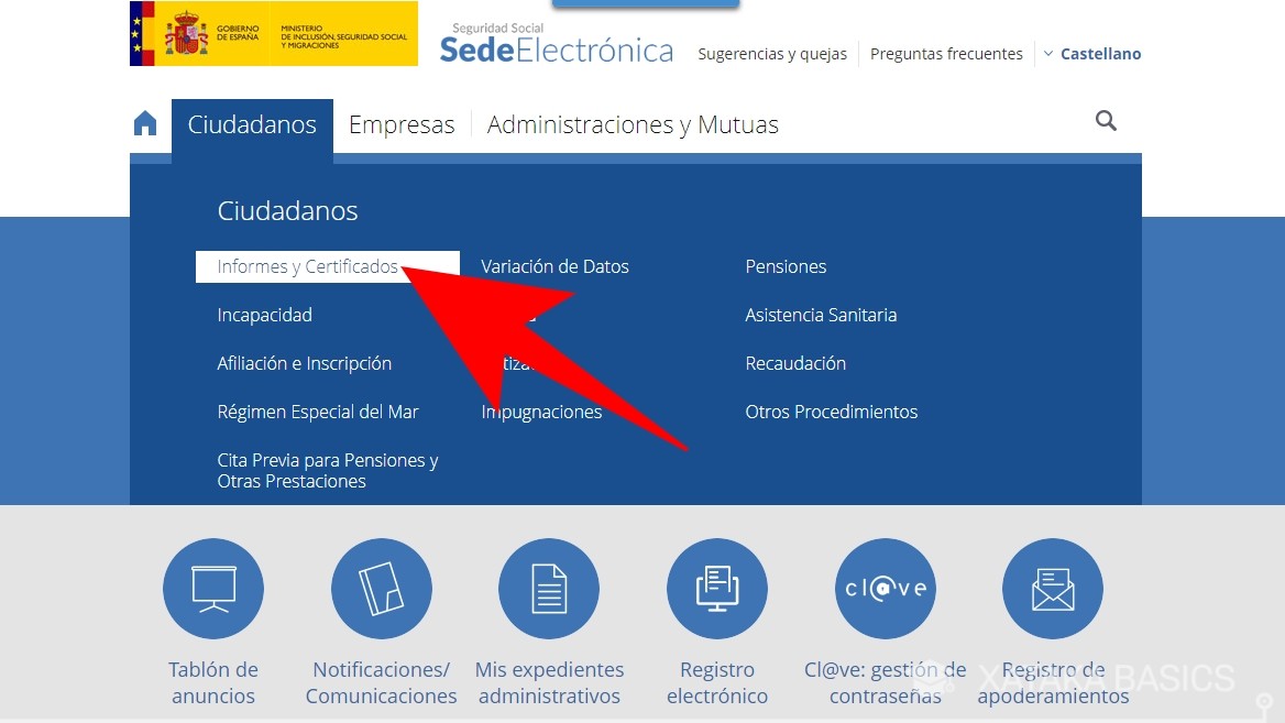 Como saber si estoy dado de alta en la seguridad social y cuál es mi ...