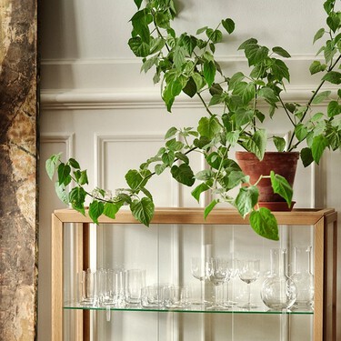 La solución de Ikea para regar las plantas cuando estamos fuera: un precioso diseño de vidrio con riego automático