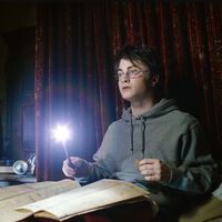 Por qué Fred y George Weasley no se dieron cuenta de Peter Pettigrew en el Mapa del Merodeador junto a Ron 