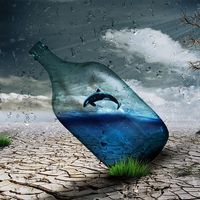 Utiliza tu singularidad para crear marca personal 