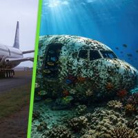En 2006 hundieron un Boeing 737 en el fondo del Pacífico. Veinte años después, la naturaleza lo convirtió en un arrecife artificial 