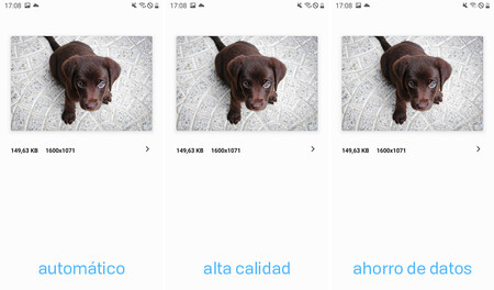 Fotogaleria