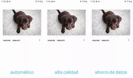 フォトギャラリー