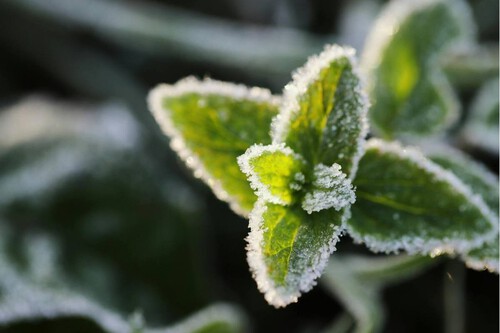 Copia De Plantilla 1200x900 6