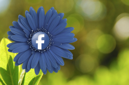 Si no puedes con el enemigo... Facebook prepara una aplicación para chatear anónimamente