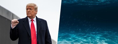 The U.S. Saw China’s Rare Earth Ban Coming. Now Its Plan B Is the Pacific Seabed 