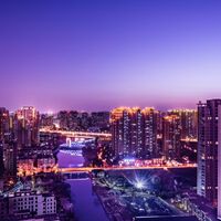 La contaminación lumínica es fatal para decenas de animales nocturnos, pero las consecuencias las pagamos todos