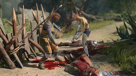 Bg3 8 Subclase Monje Borracho