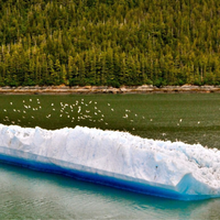 Em 1977, levaram um bloco de gelo de uma tonelada do Alasca até Iowa com um único propósito: descobrir se os icebergs poderiam fornecer água doce 