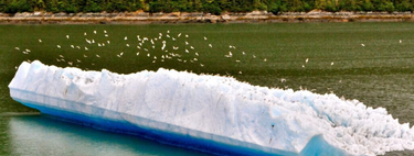 Em 1977, levaram um bloco de gelo de uma tonelada do Alasca até Iowa com um único propósito: descobrir se os icebergs poderiam fornecer água doce 