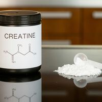 O que acontece quando a creatina entra no seu corpo — e o impacto do suplemento queridinho das academias no fígado 