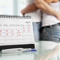 Proyecto bebé: ¿Qué son los test de ovulación?, ¿funcionan? (mi experiencia)