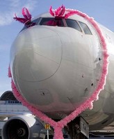 El vuelo rosa