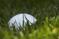 Golf a bordo, sobre césped verdadero