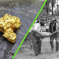 En 1869 alguien encontró la pepita de oro más grande de la historia. Hoy su descendiente está lejos de ser rica y millonaria 