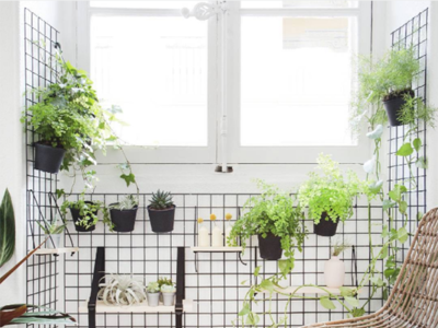 Decorando con plantas, deja que la naturaleza entre en tu piso 