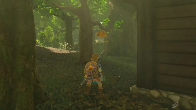 Miel De Vigor Zelda Botw