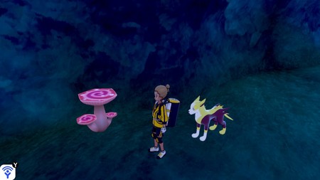 Pokémon Espada y Escudo: cómo conseguir Maxisetas en la expansión Isla de la Armadura