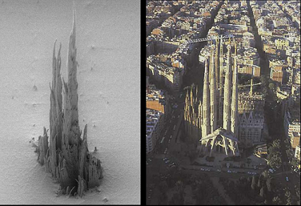 Sagrada Familia microscópica