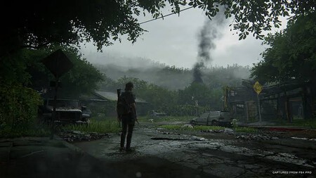 The Last Of Us