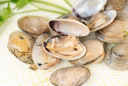 Almeja Babosa Gallega