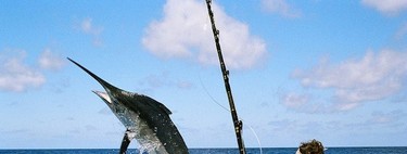 Recomendaciones de consumo de pescado durante la infancia, embarazo y lactancia