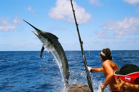 Recomendaciones de consumo de pescado durante la infancia, embarazo y lactancia