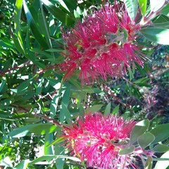 Foto 7 de 22 de la galería xiaomi-mi-max-camara-1 en Xataka Android