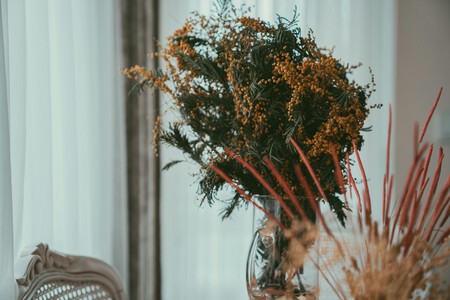 Pexels Trksami 15929965