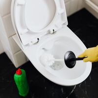 Sal, bicarbonato, vinagre o ácido cítrico: cuál limpia mejor el inodoro según la química (y cuál no es recomendable)