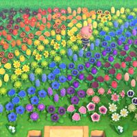 Animal Crossing New Horizons | Todas las flores y cómo conseguirlas 