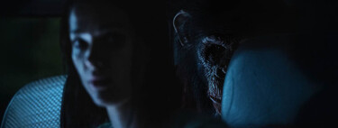 'Primate' devuelve el jolgorio del gore al cine con una película con la que da gusto engorilarse en la butaca